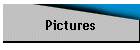 Pictures