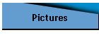 Pictures